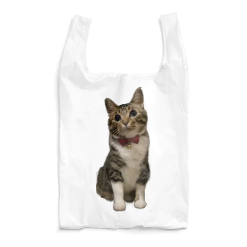 さいちゃんのバッグ Reusable Bag