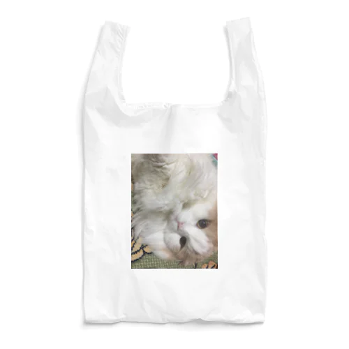 ROY8 Reusable Bag