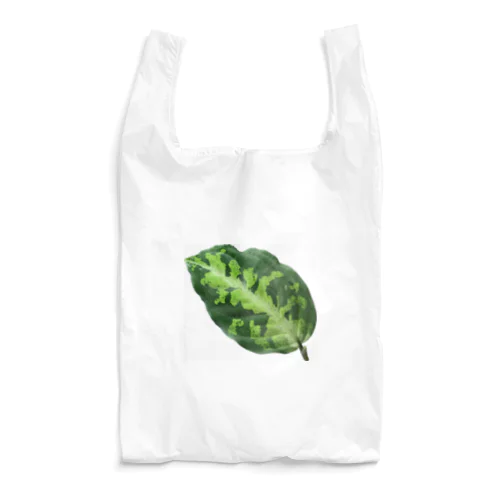 アグラオネマ・ピクタム Reusable Bag