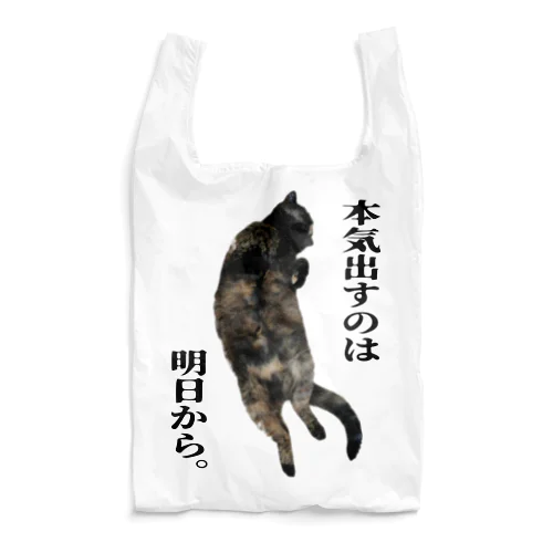 ガイア【マジな未来】淡 Reusable Bag