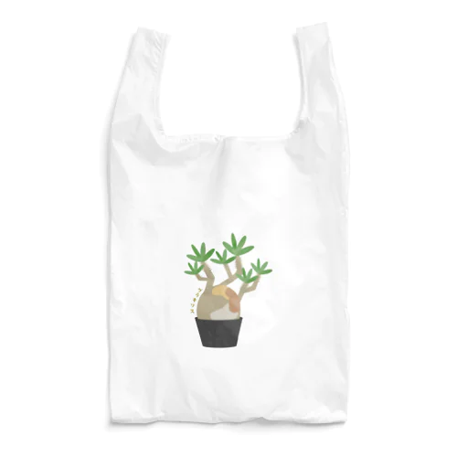 パキポディウムグラキリス(象牙宮） Reusable Bag
