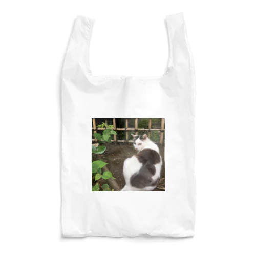 振り返り美猫図 Reusable Bag