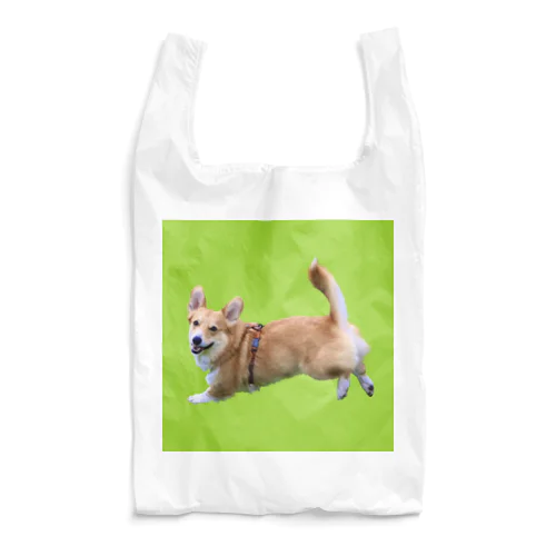 ランディとお出かけ🎵 Reusable Bag