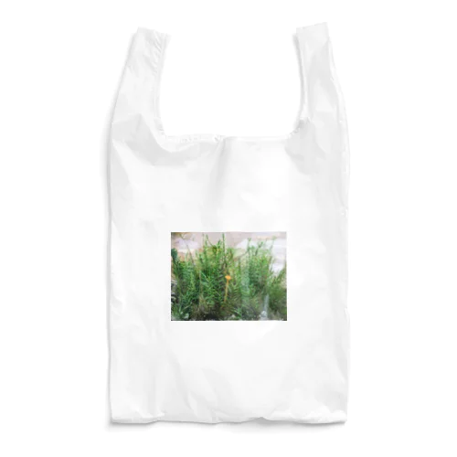 キノコと苔テラリウム Reusable Bag