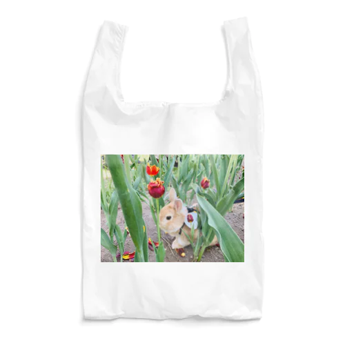 探検もけさん Reusable Bag