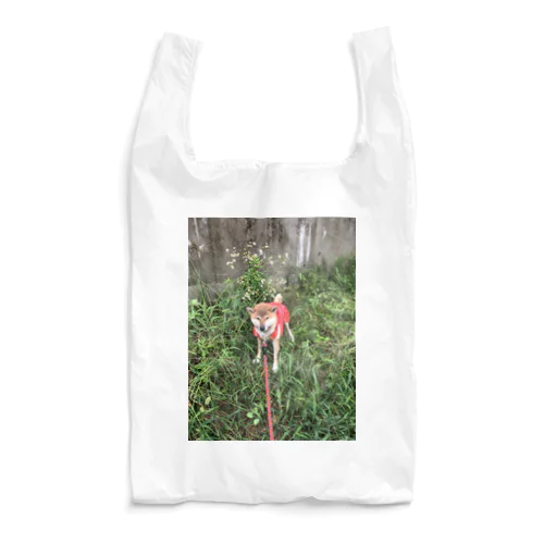 キナT Reusable Bag