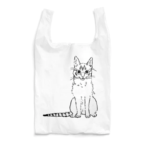 ダンボーリ Reusable Bag