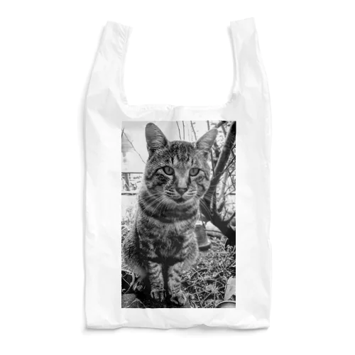 野生的な猫 Reusable Bag