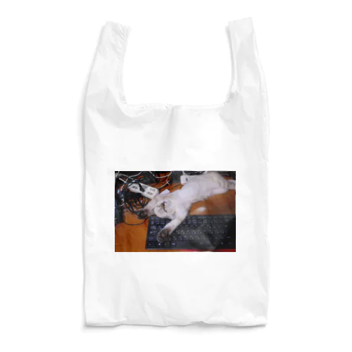 Mamekan Reusable Bag