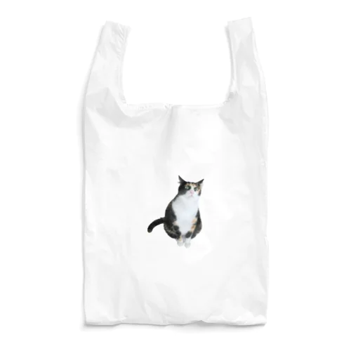 Chloe Reusable Bag