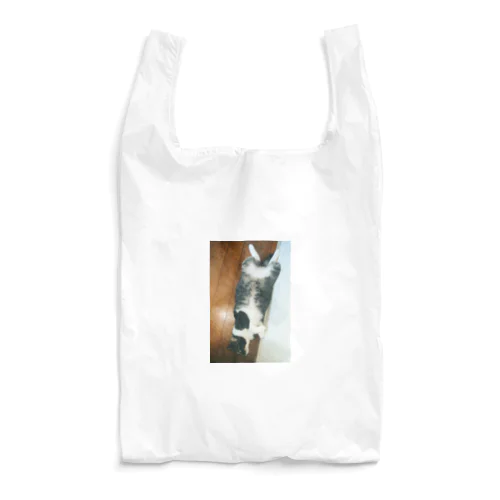 ふくのあいてむ Reusable Bag