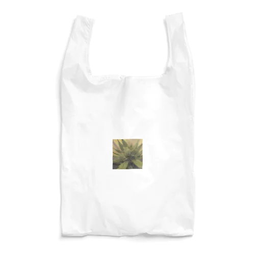 42O-0091 フォトゥオーナインティワン Reusable Bag