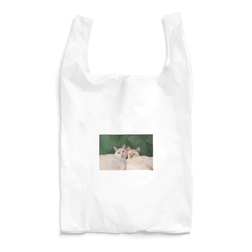ぽんぽこ_ええとこの猫シリーズ① Reusable Bag