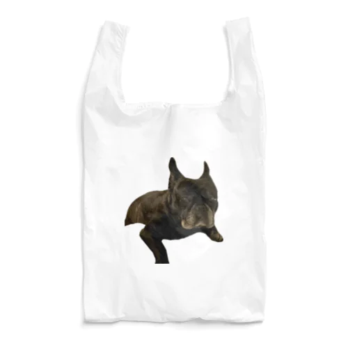 ブルーナちゃん Reusable Bag