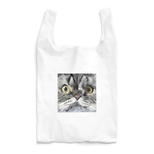 Rooey Reusable Bag