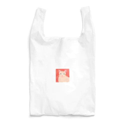 シンガプーラ Reusable Bag