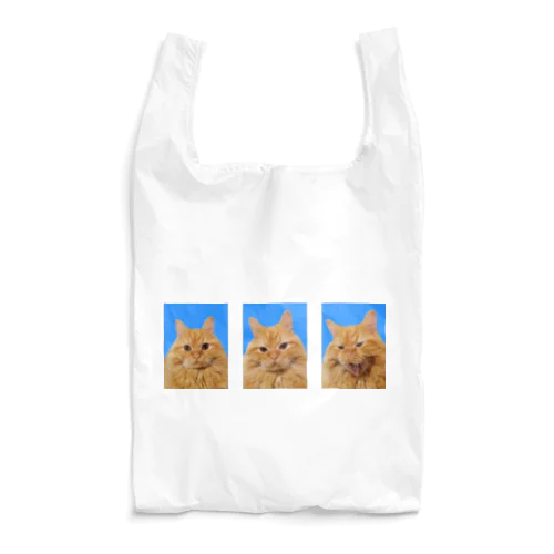 シンバ証明写真(３ショット) Reusable Bag