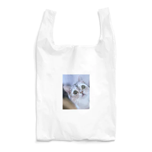 猫の名前はレオ Reusable Bag