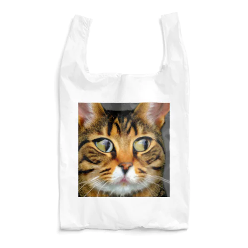 我輩猫 Reusable Bag