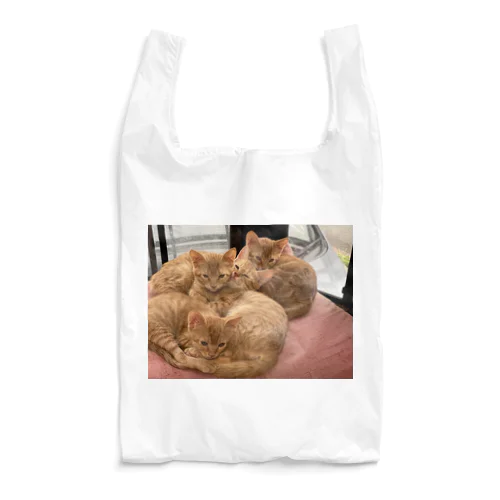 チャトラ大集合 Reusable Bag