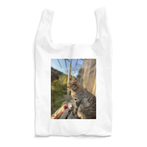 元野良猫たまちゃん Reusable Bag