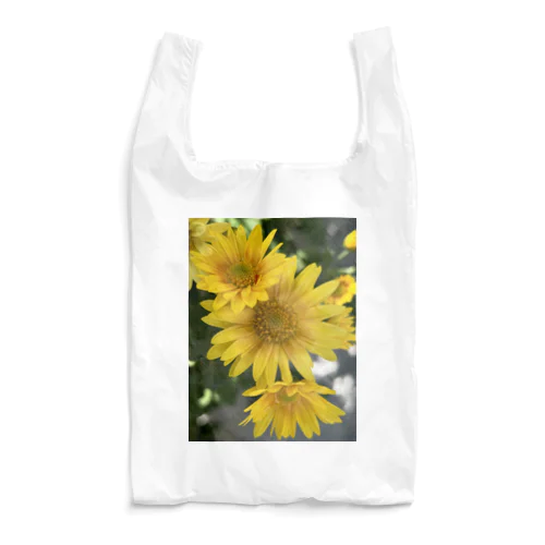 SEISO Reusable Bag