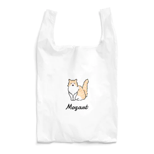 Mozart  Reusable Bag