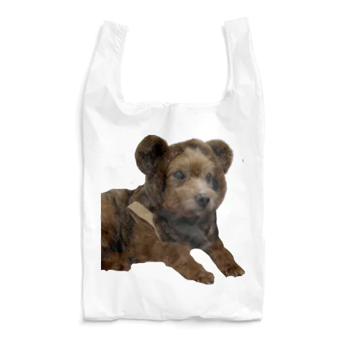 coco Reusable Bag