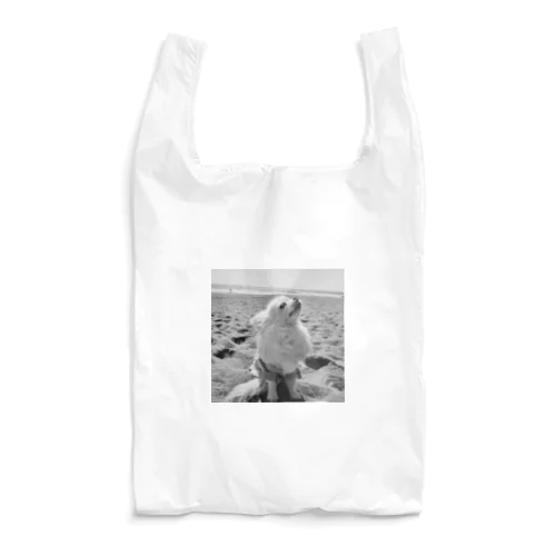 TONO-Coast Reusable Bag