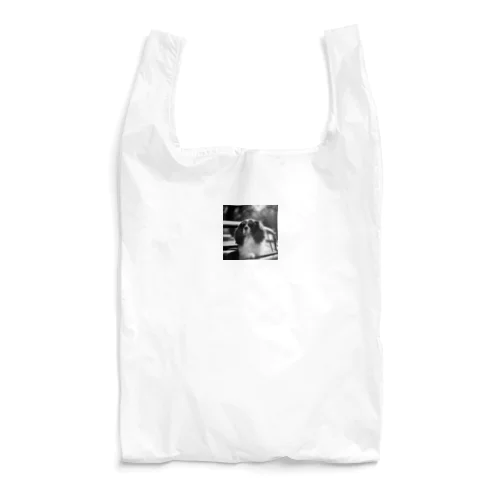 サングラスのBarry Reusable Bag