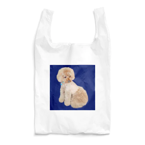 トイプードルのチロ君♂ Reusable Bag