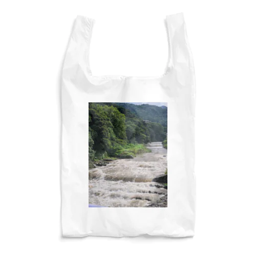 Hakone　RainyDay Reusable Bag