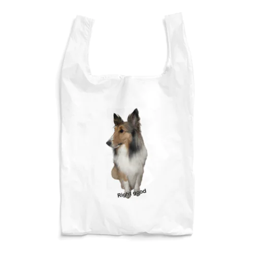 ルル Light  Reusable Bag