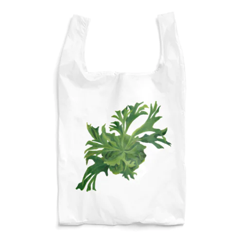 pepe garden【ビカクシダ】リドレイ Reusable Bag