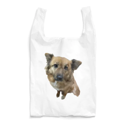お座りこまり Reusable Bag
