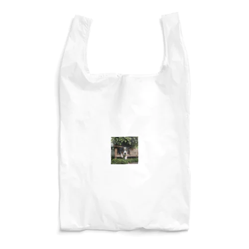 箱の中から覗く犬 dog looking in the box Reusable Bag