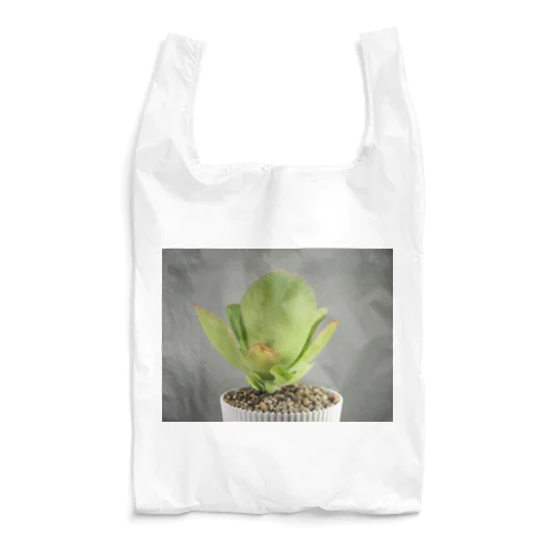 多肉植物A Reusable Bag