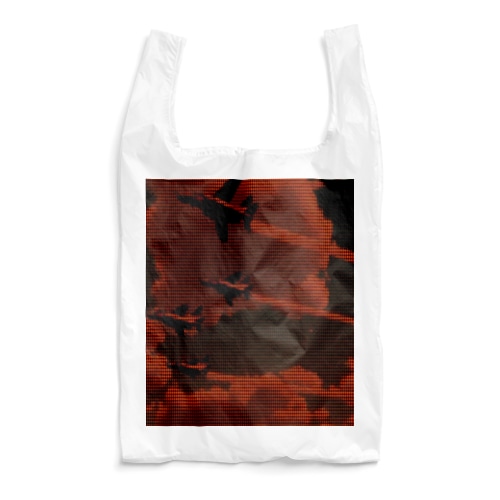編隊飛行 Reusable Bag