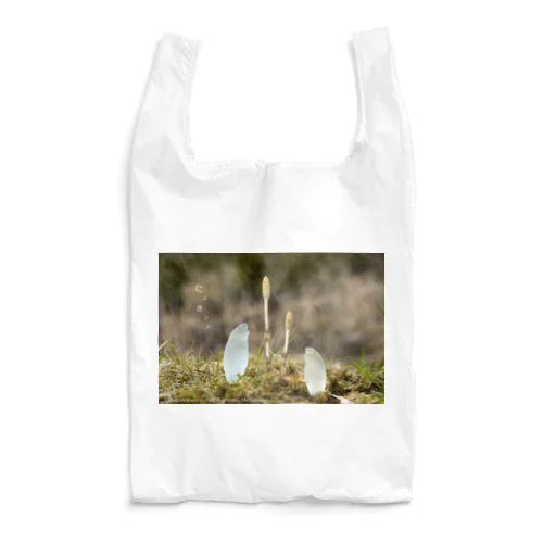 つくしんぼ〜おとも〜 Reusable Bag