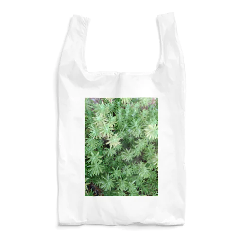 セダム Reusable Bag