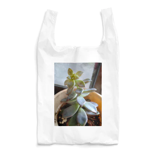 多肉植物 Reusable Bag