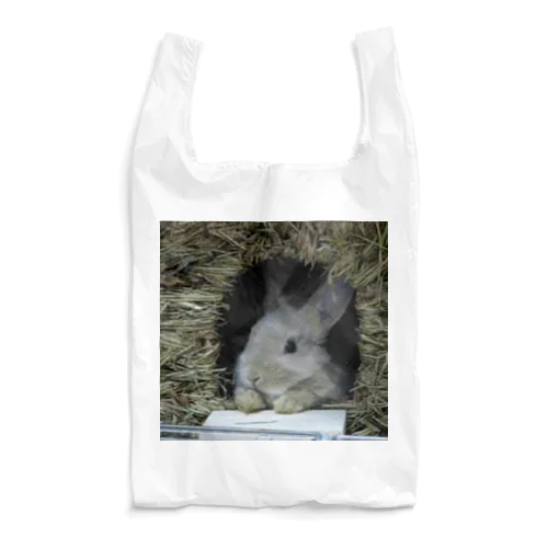 HELLO！うさぎ Reusable Bag