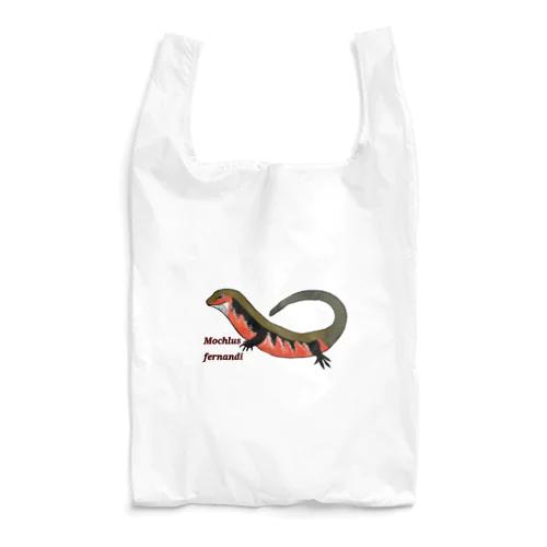 フェルナンデススキンク Reusable Bag