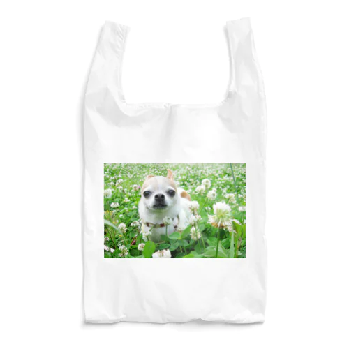 カラフルチワワ（クローバー） Reusable Bag