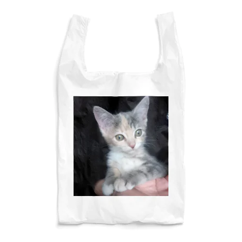 alice01 Reusable Bag