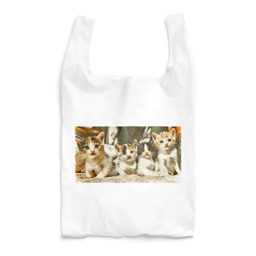 4bro Reusable Bag