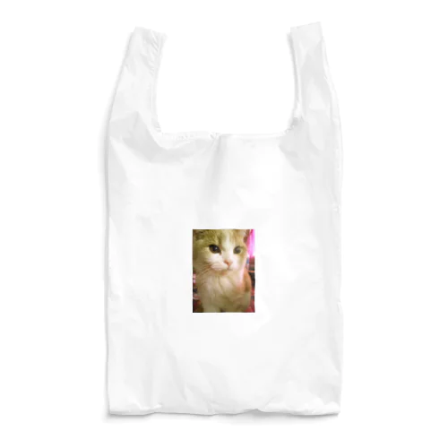 ジョル猫 エコバッグ Reusable Bag