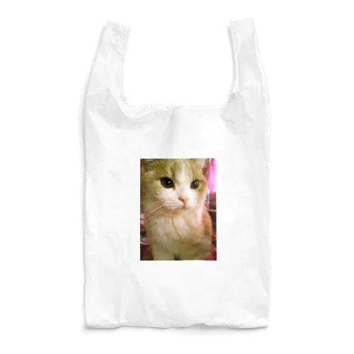 ジョル猫(大)エコバッグ Reusable Bag