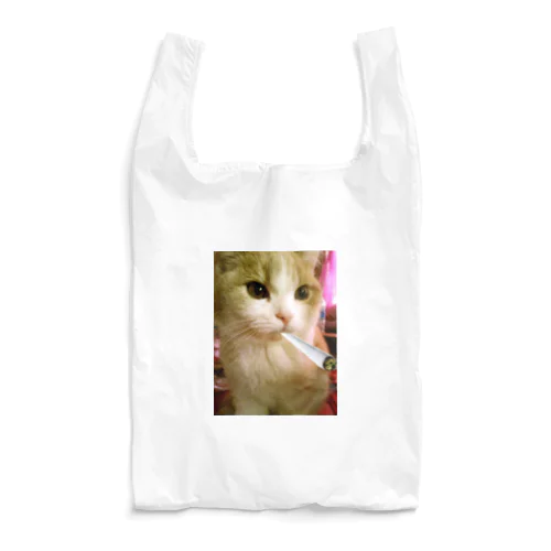 ジョル猫Chill エコバッグ Reusable Bag