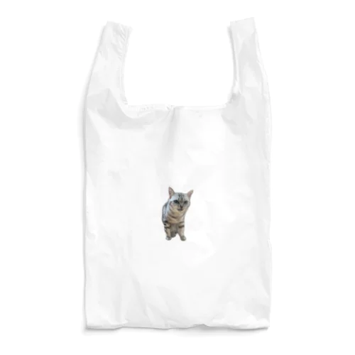 いろは 怒 えこばっ Reusable Bag